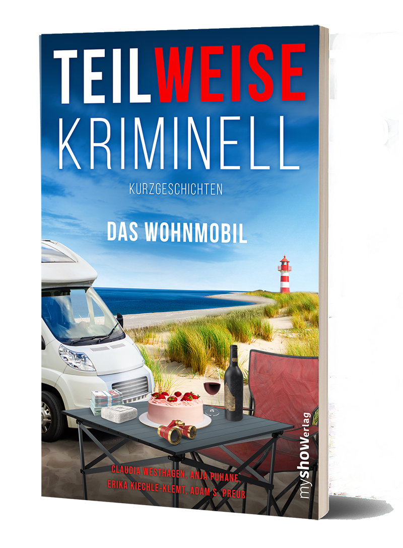 TEILWEISE KRIMINELL 03 - Das Wohnmobil
