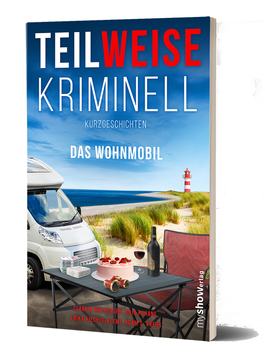 TEILWEISE KRIMINELL 03 - Das Wohnmobil