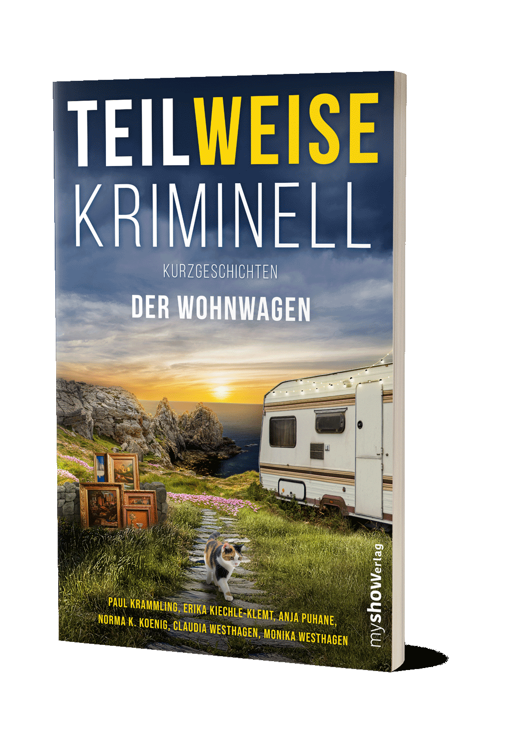 TEILWEISE KRIMINELL 05 - Der Wohnwagen