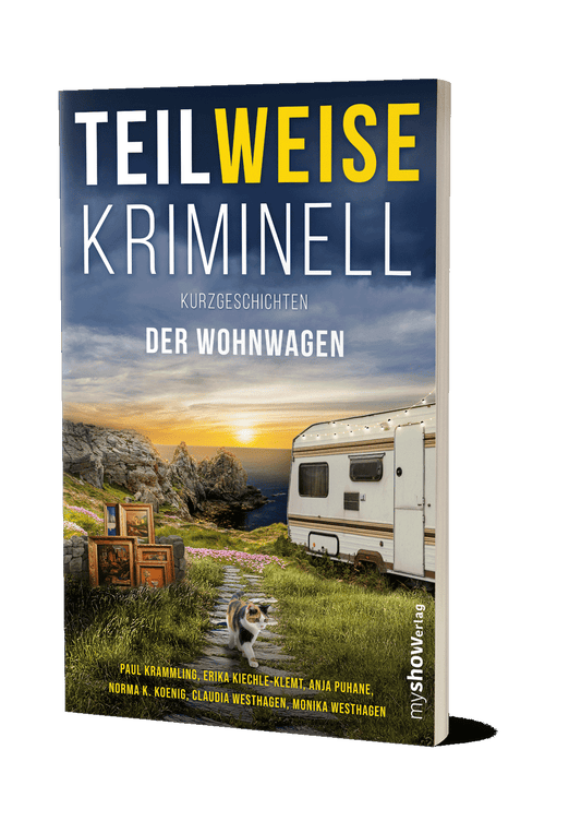 TEILWEISE KRIMINELL 05 - Der Wohnwagen