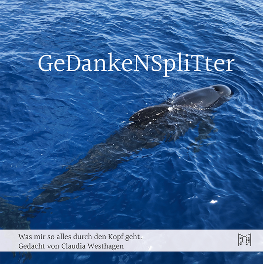 GeDankeNSpliTter - Was mir so alles durch den Kopf geht - Claudia Westhagen